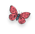 BUTTERFLY 1