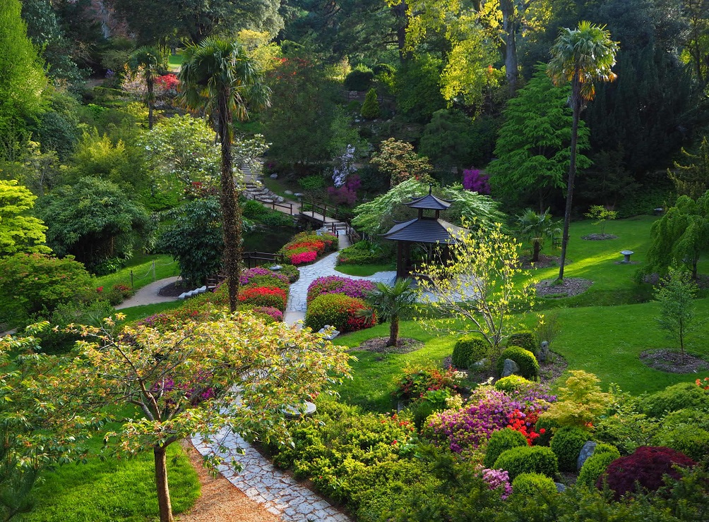 Japanesegarden.summer.tomek .22