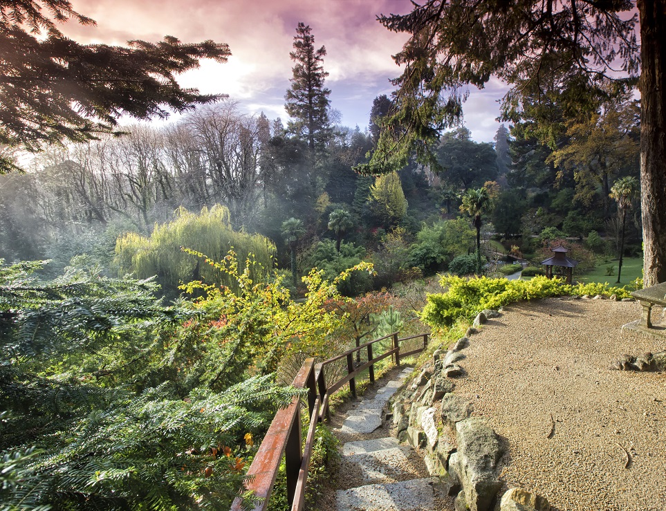 Beautiful scene of the Japanese Gardens.