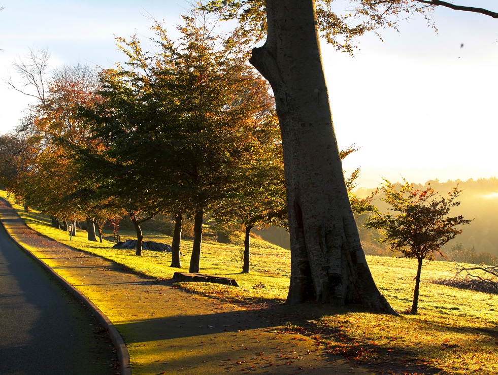 Golden sunrise at Powerscourt Estate, House & Gardens.