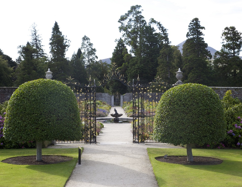 Two well manicured bushes in the Gardens.