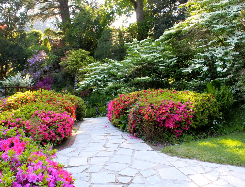 Japanese Garden in the summer - Powerscourt Estate, House & Gardens.