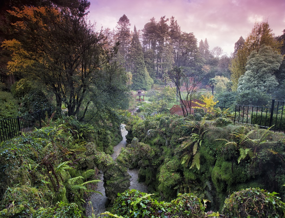 Japanese Garden - Powerscourt Estate, House & Gardens.