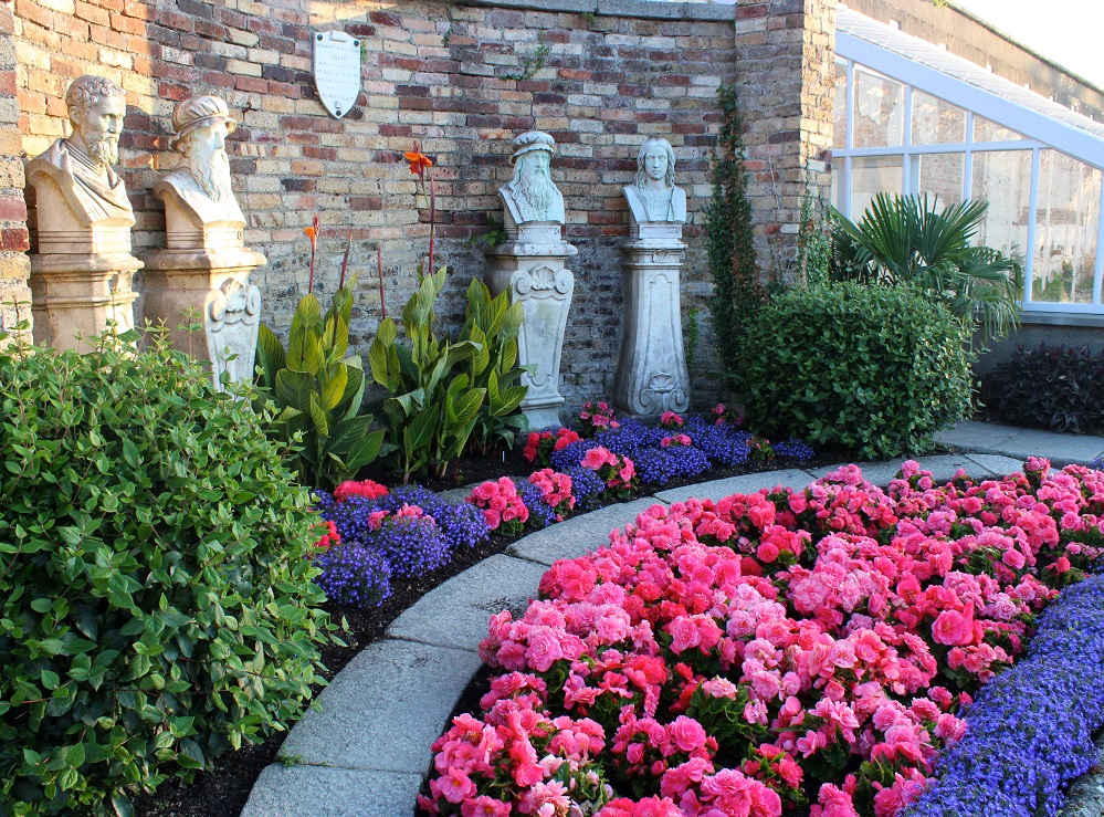 roses.pinkroses.juliasmemorial.walledgarden.summer2018
