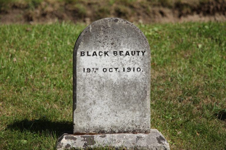 Tombstone of 'Black Beauty' at the Pet Cemetry.